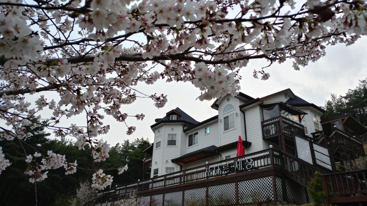 Another World Pension Gyeongju Exterior photo